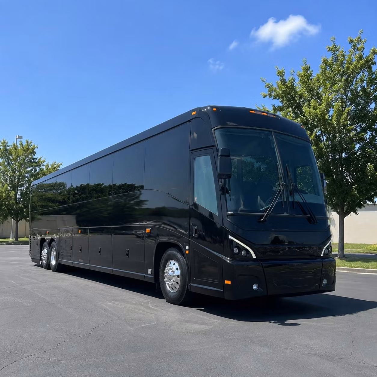 56 passenger charter bus