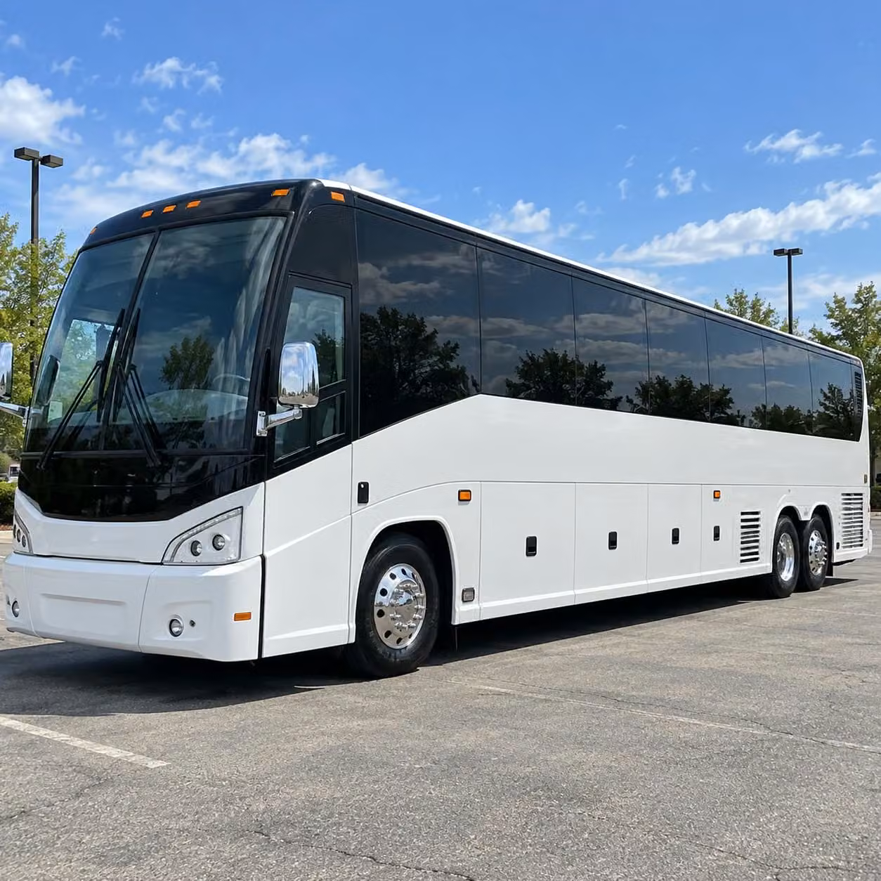 school field trip bus rentals in lakewood